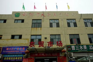 江門區(qū)政府主要領(lǐng)導(dǎo)冒雨調(diào)研檢查全區(qū)商貿(mào)企業(yè)“雙節(jié)”供應(yīng)及安全生產(chǎn)工作